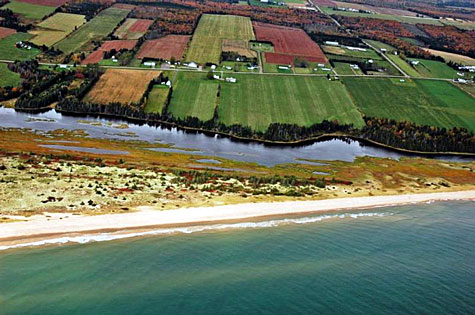 aerial view