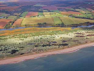 aerial view