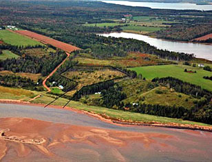aerial view