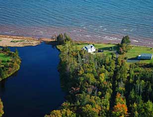 aerial view