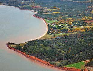 aerial view