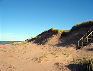 Beach View at East Point