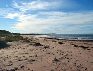 Beach View at East Point