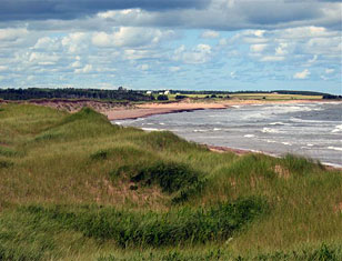 Aerial View at East Point