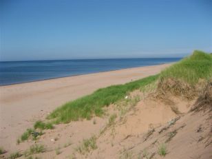 Beach View at East Point