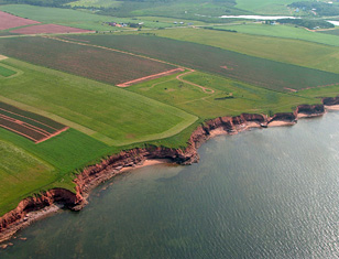 Aerial View of Park Corner