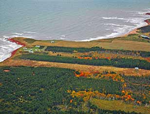 Aerial View of Priest Pond