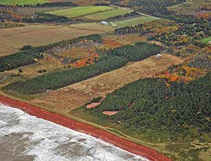 Aerial View of Priest Pond 