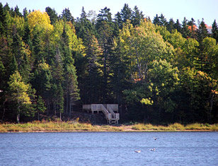 View of Stanley Bridge