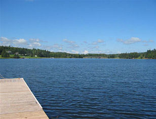View of Stanley Bridge