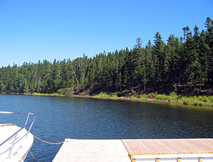 View of Stanley Bridge