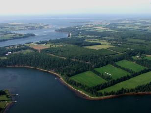View of Stanley Bridge
