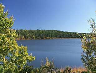 View of Stanley Bridge