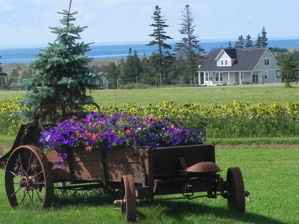 Summertime view of Bothwell