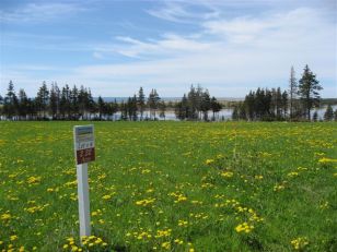Lot 4 View at Bothwell