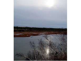 View at Kingsboro