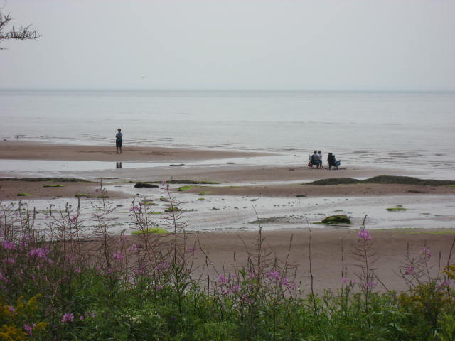 Beach View